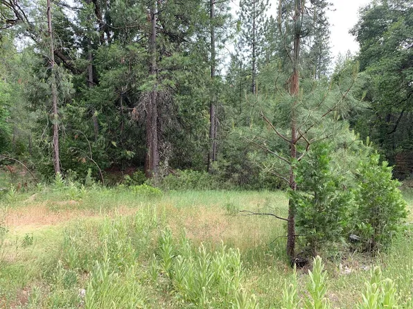 9432 Grizzly Flat Rd, Grizzly Flats, CA 95636