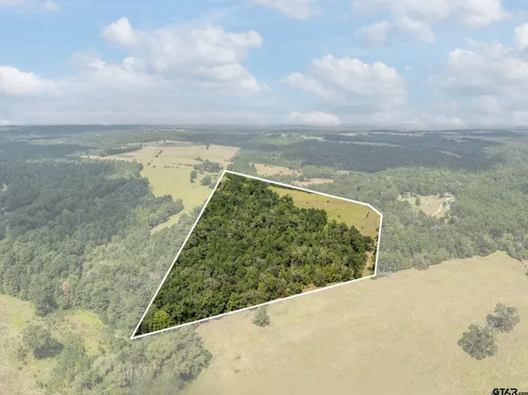 TRACT 5 An County Rd #153, Palestine, TX 75801