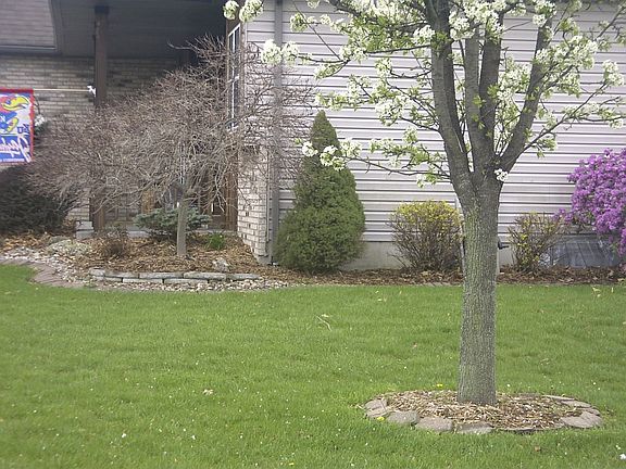 North side of house