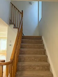 7744 Shadbush Ln — Photo 11