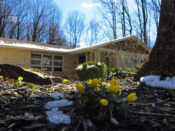 2nd image of 4626 Loral Ln N