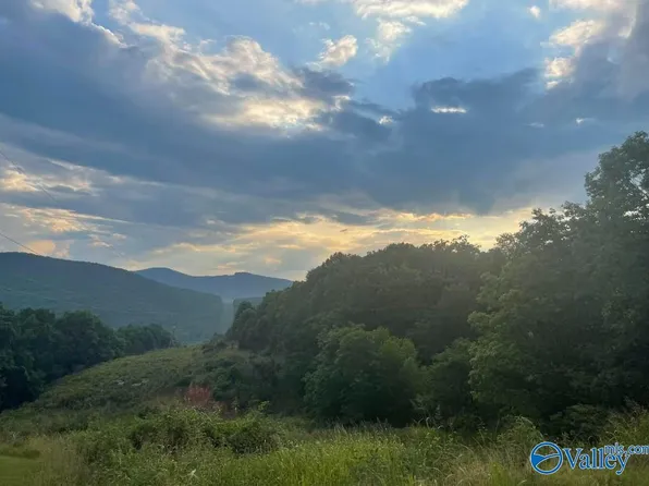 35 Watson Grande Way SE, Owens Cross Roads, AL 35763