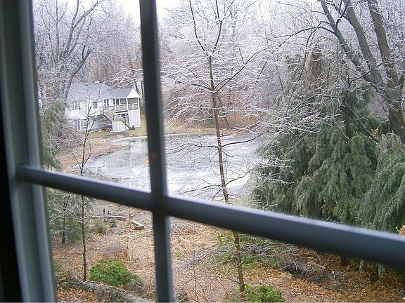 Veiw of pond from LR