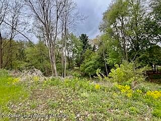 2nd image of 5521 Timothy Ln