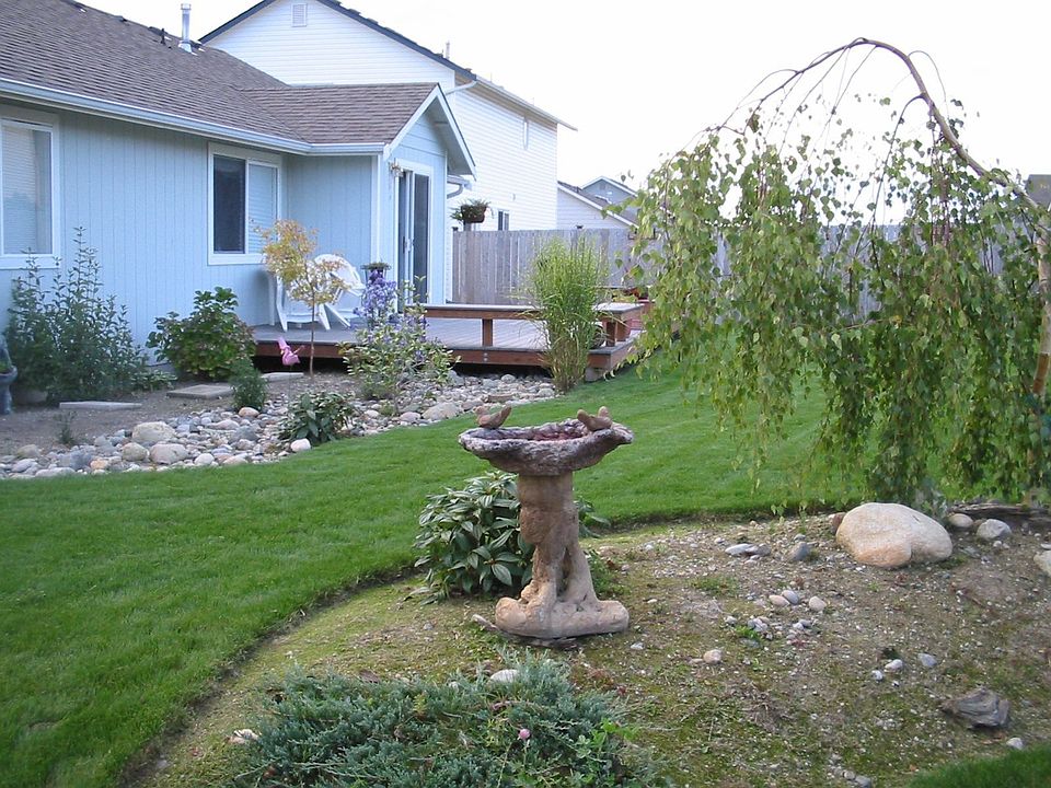 Lovely back yard