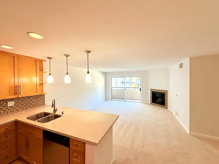 4702 Fulton Ave #209 — Photo 4