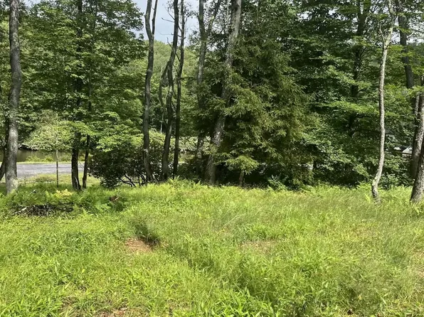 Lots 23 25 Blackwater Canyon Trail Rd, Thomas, WV 26292