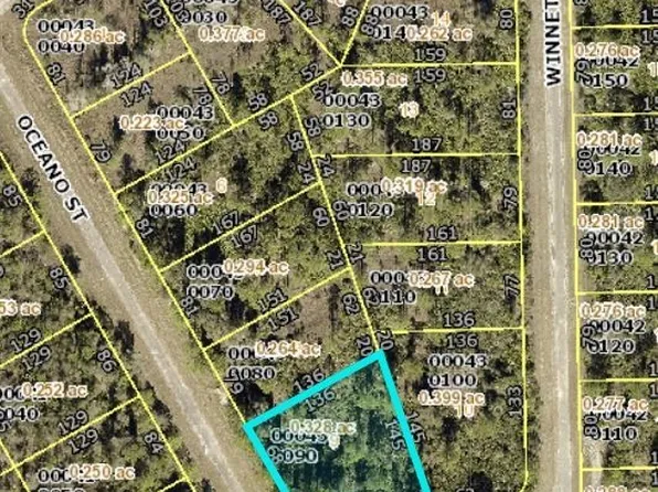 2120 Oceano St, Lehigh Acres, FL 33972