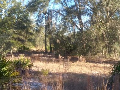 SW S Hills Ct LOT 12, Dunnellon, FL, 34431