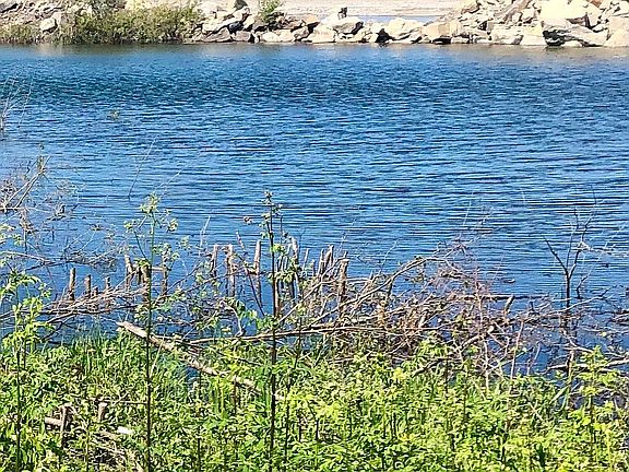 5th image of S Scenic Dr