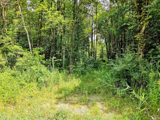 41934 Judd Rd, Belleville, MI 48111