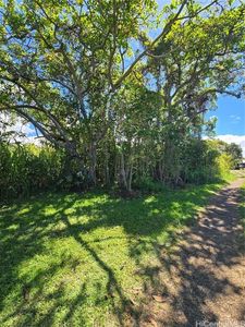LOT 5 Hawaii Belt Rd, Kealakekua, HI, 96750