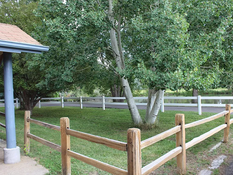 7161 County Road 110 — Photo 12