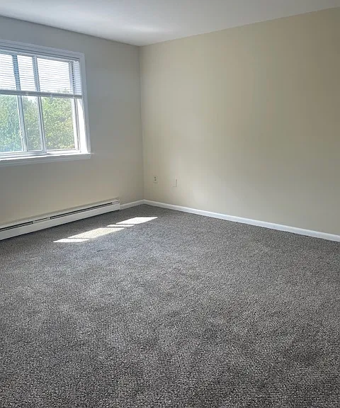 286 Pine St — Photo 15