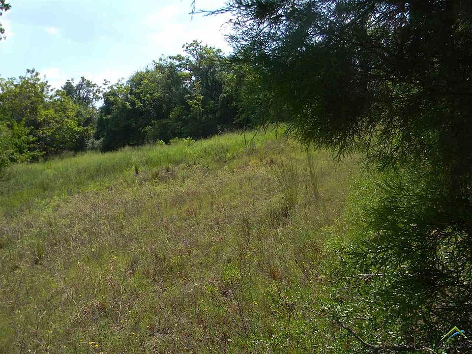 2nd image of 2101 Patterson Rd