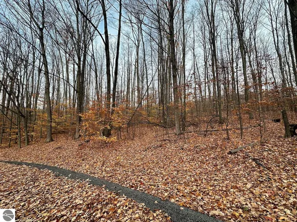 LOT 23 Schutzen Ln, Bellaire, MI 49615