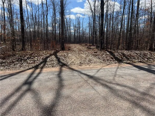19.11 Acres Falstad Road, Eland, WI 54427