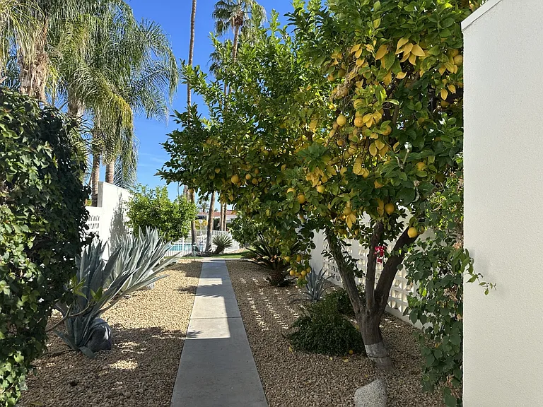 1820 Sandcliff Rd — Photo 10