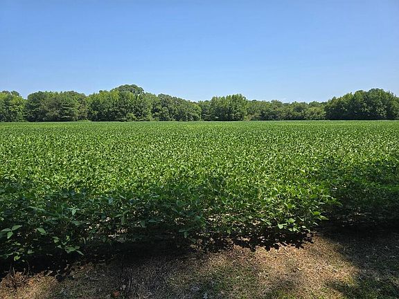 2nd image of 0 Plantation Rd