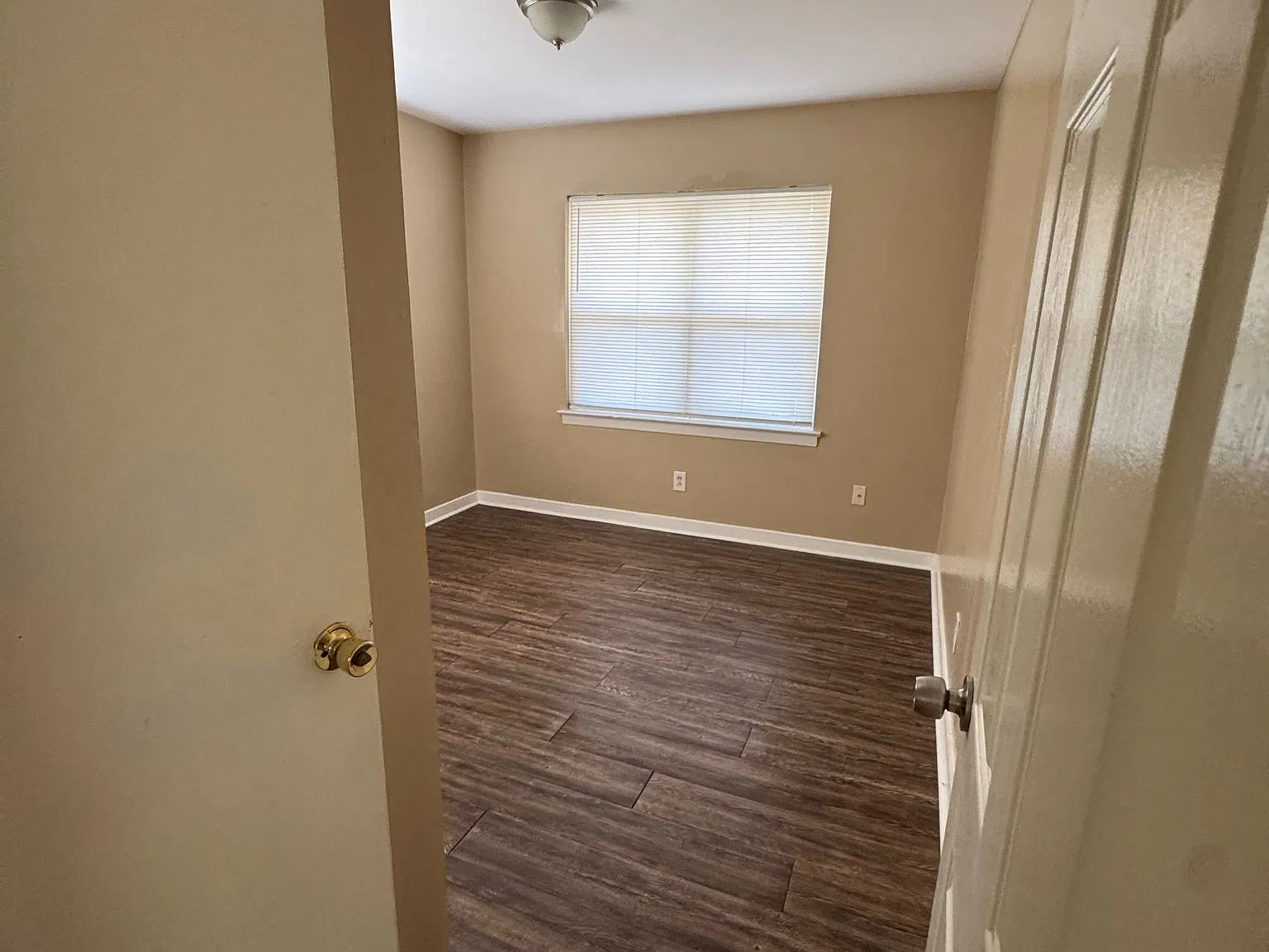 1 bed, 800 sqft, $900 — Photo 4