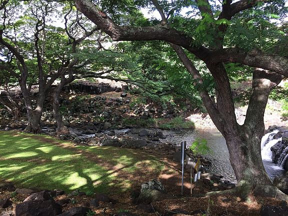 Lush Park Area and Water Fall directly in front of unit