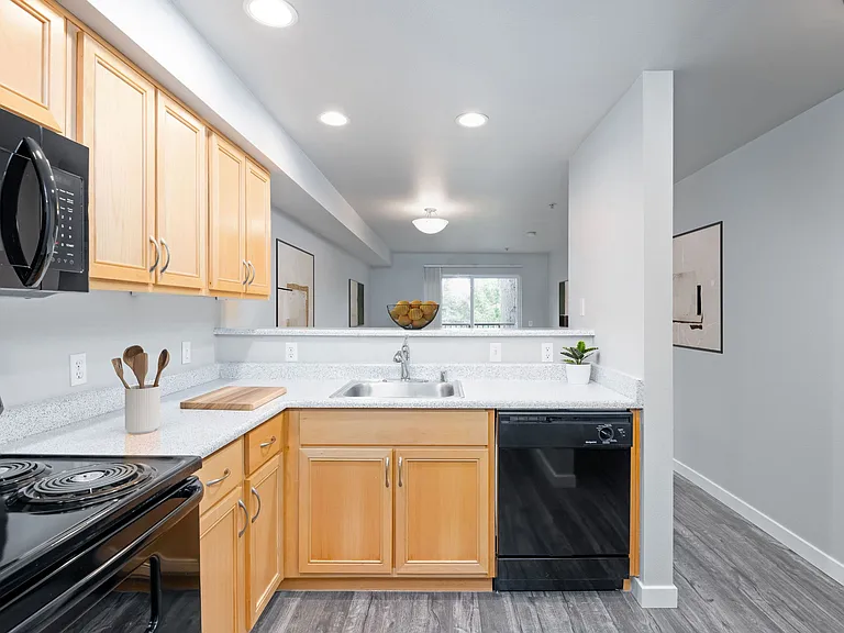 1x1 - 663 SF - Kitchen