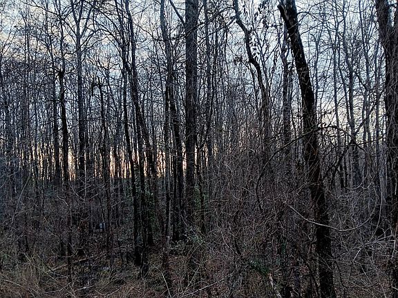 3rd image of 0 State Highway 19