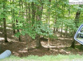 109 Lower Grouse Ridge Road, Beech Mountain, NC 28604