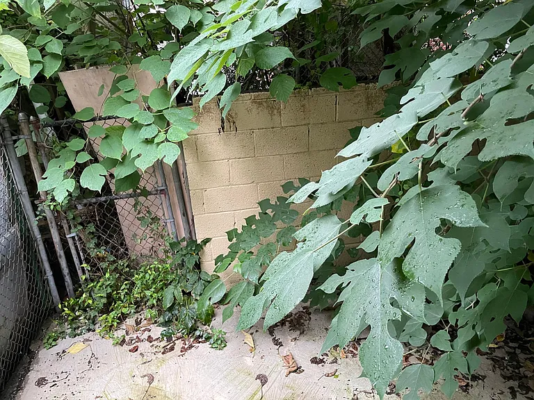 5131 Ludlow St — Photo 9