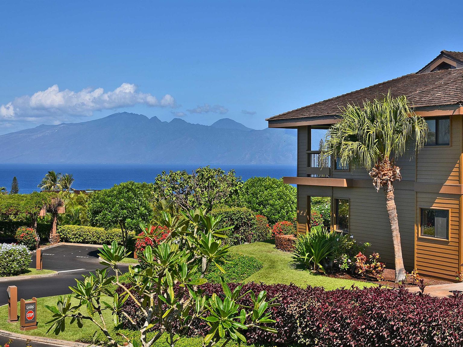 50 Puu Anoano St APT 4207