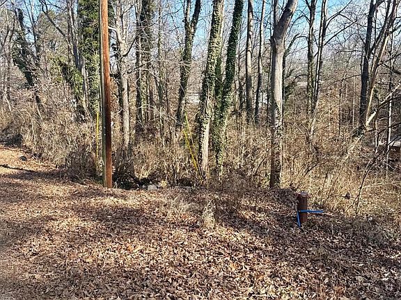 3rd image of LOT-43A Mayflower Ln