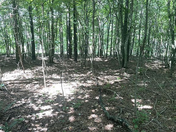5th image of 0 Tall Woods Ln Lot 8