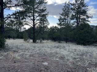 2988 Marcey Rd, Westcliffe, CO 81252