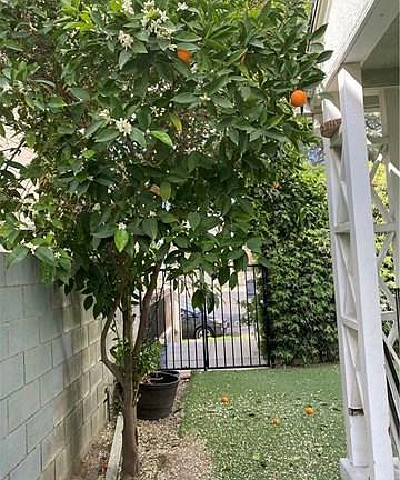 2nd image of 6650 Balboa Blvd