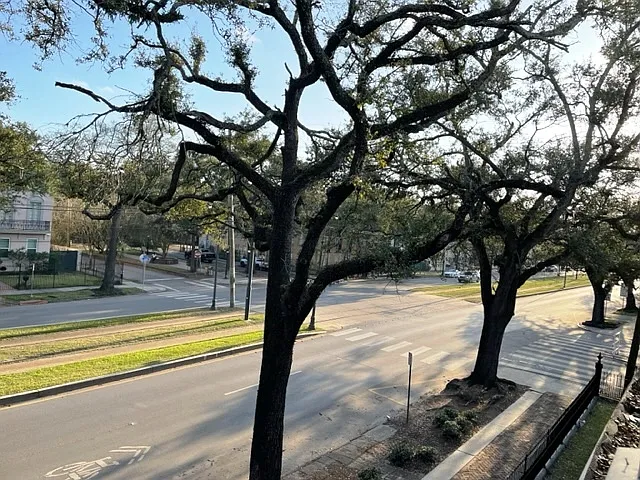In front of the historic St. Charles streetcar, a short ride away from Tulane and Loyola University, Audubon Park, and the French Quarter.