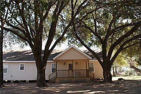 Huge Oak Trees