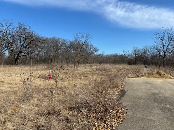 130 & Lot 131, Albany, IL 61230