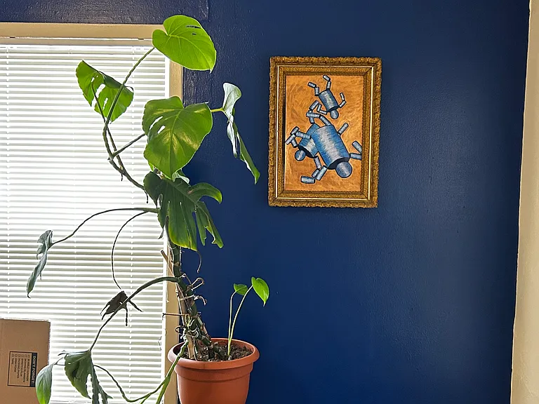 One wall in living room painted blue. Furniture and plant not included.