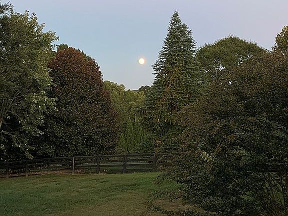 Morning view from back deck