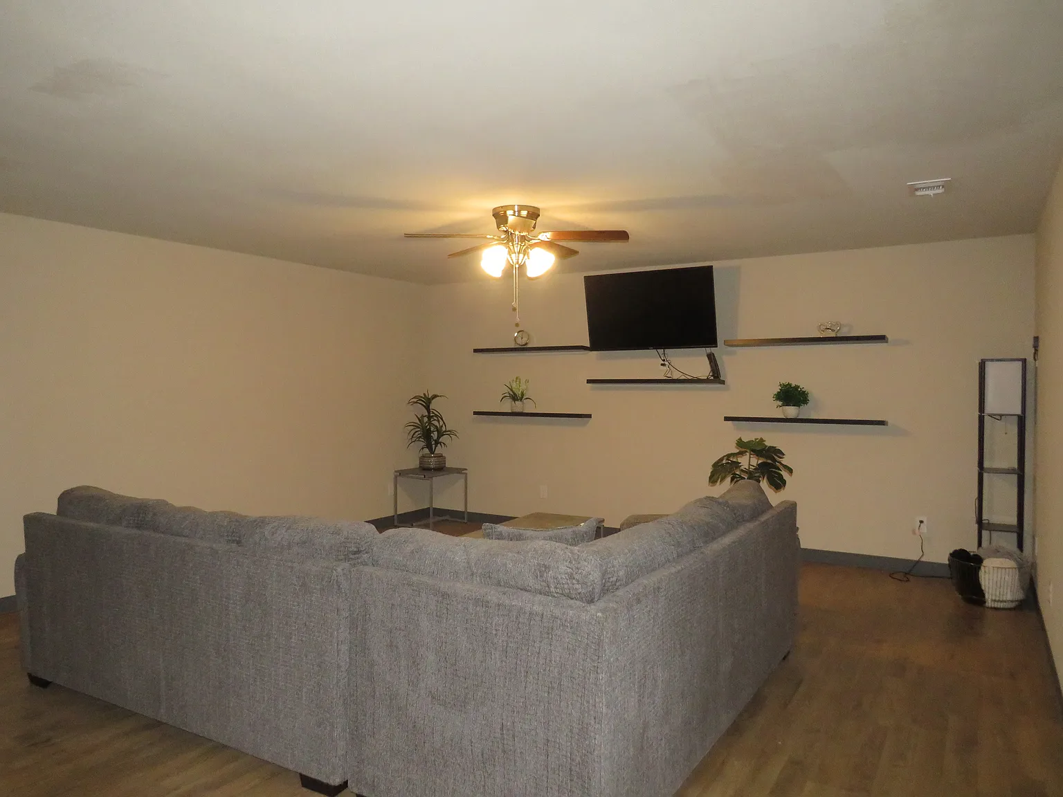 1 bed, $900 — Photo 3