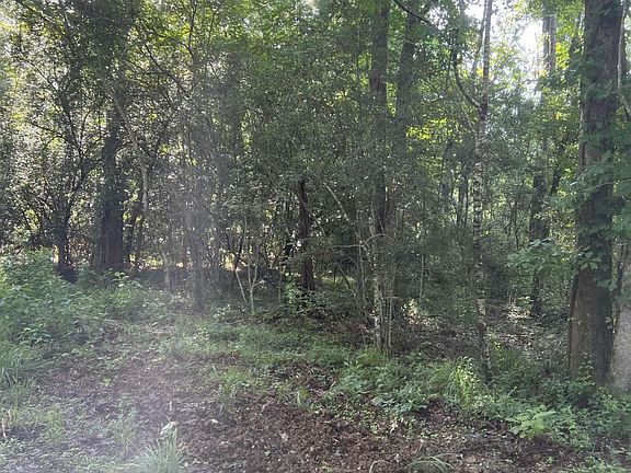 3rd image of LOT 3 Hepzibah Rd