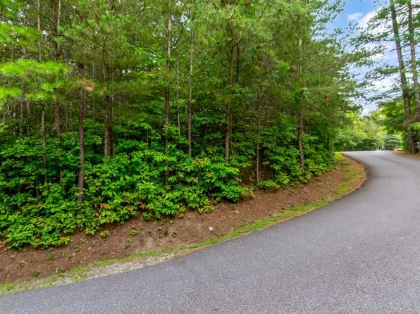 9 Laurel Creek Trl, Blue Ridge, GA 30513