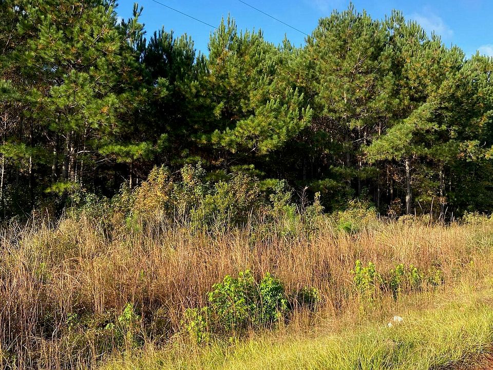 2nd image of 439 Springbranch Rd