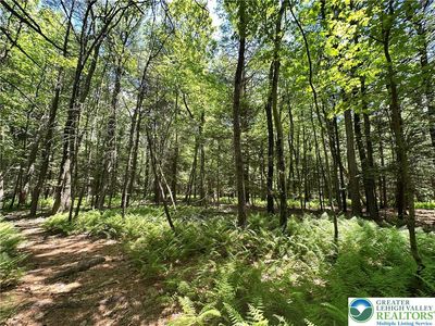 1455 Greenwood St, Palmerton, PA, 18071
