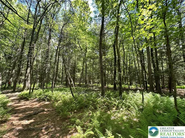 1455 Greenwood St, Palmerton, PA 18071