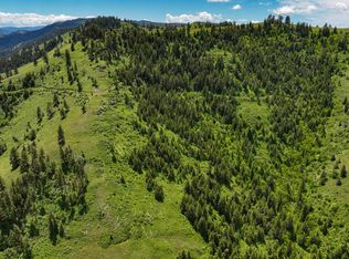 96 & LOT 97, White Bird, ID 83554