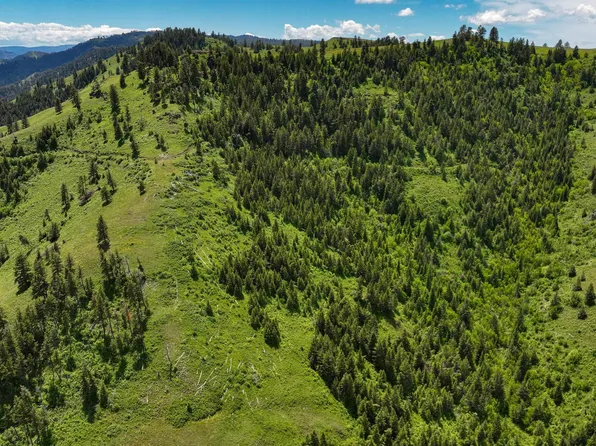 96 & Lot 97, White Bird, ID 83554