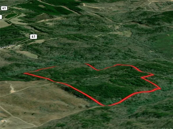 0 Snake Branch Rd, Kennedy, AL 35574