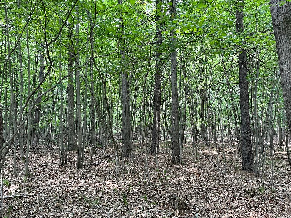 1st image of Cayla Ln Lot 31