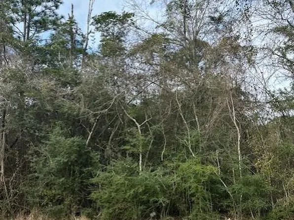 State Highway 53 Lot 10, Gulfport, MS 39503